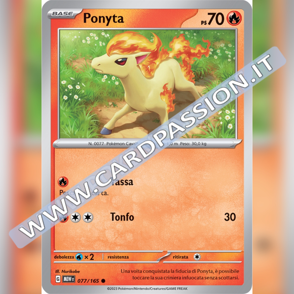 077/165 Ponita | Scarlatto e Violetto 151