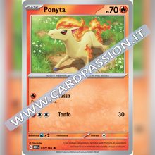 077/165 Ponita | Scarlatto e Violetto 151
