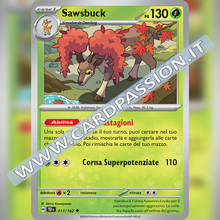 017/162 Sawsbuck | Cronoforze