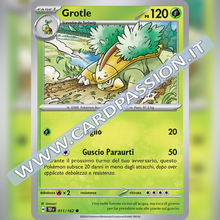011/162 Grotle | Cronoforze