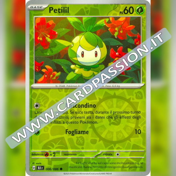 006/086 Petilil Reverse | Luce Nera