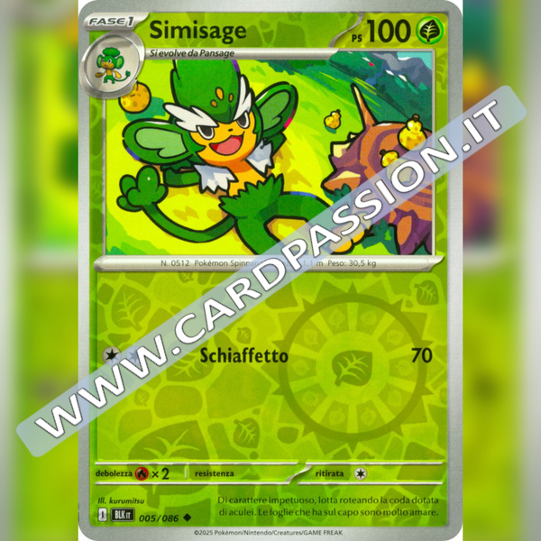 005/086 Simisage Reverse | Luce Nera