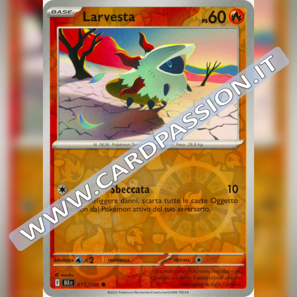 015/086 Larvesta Reverse | Luce Nera