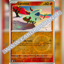 015/086 Larvesta Reverse | Luce Nera
