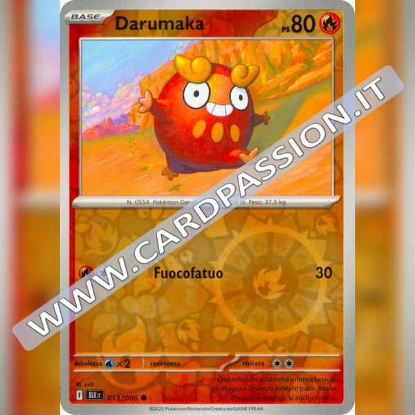 013/086 Darumaka Reverse | Luce Nera