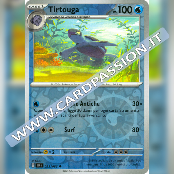 022/086 Tirtouga Reverse | Luce Nera