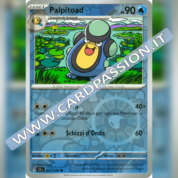 020/086 Palpitoad Reverse | Luce Nera
