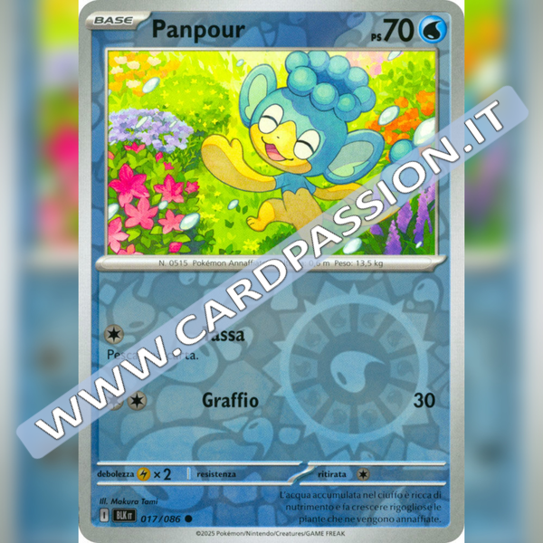 017/086 Panpour Reverse | Luce Nera