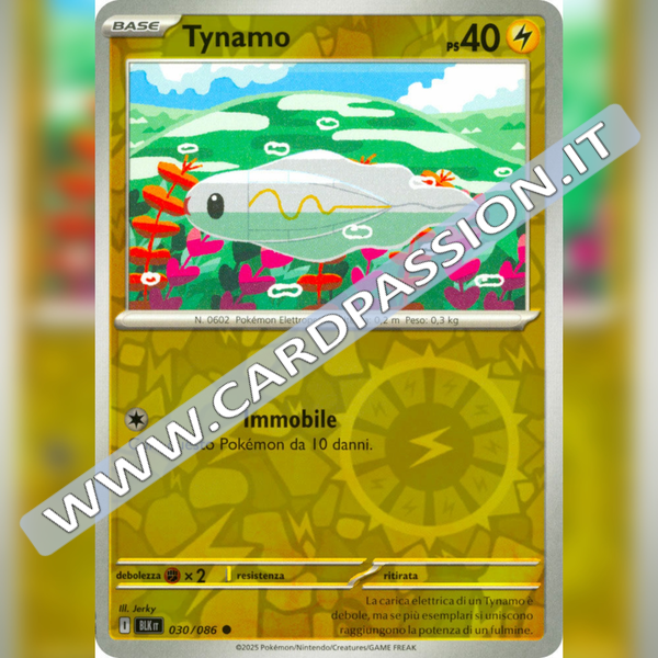 030/086 Tynamo Reverse | Luce Nera