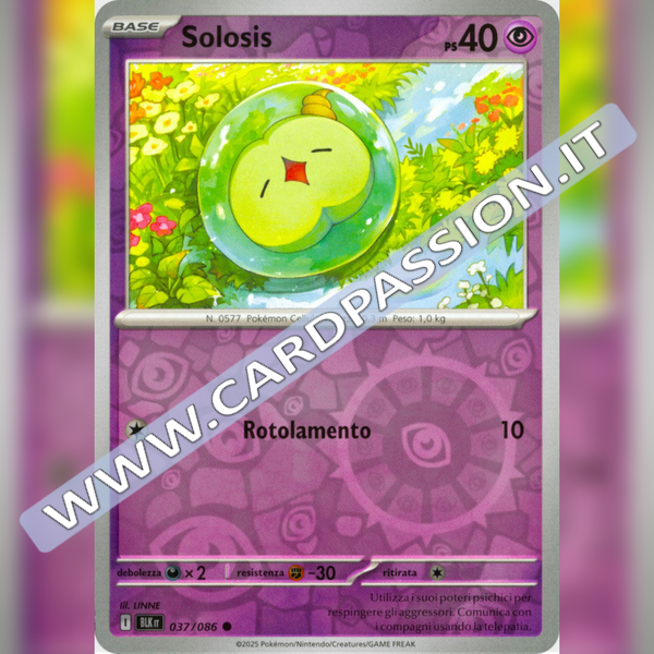 037/086 Solosis Reverse | Luce Nera