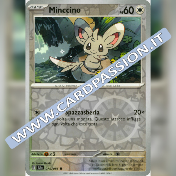 075/086 Minccino Reverse | Luce Nera