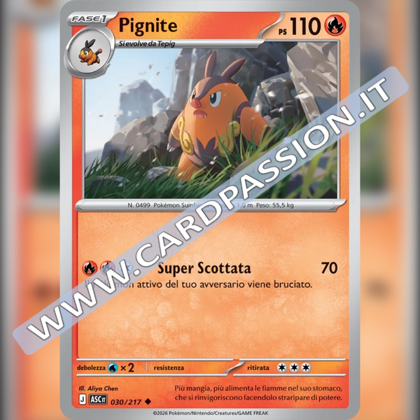 030/217 Pignite | Ascesa Eroica