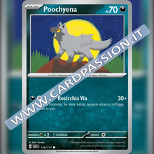 128/217 Poochyena | Ascesa Eroica