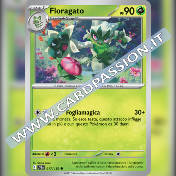 017/159 Floragato | Avventure Insieme