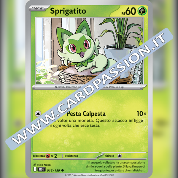 016/159 Sprigatito | Avventure Insieme