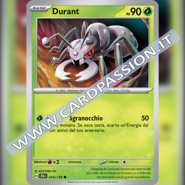 014/159 Durant | Avventure Insieme