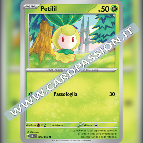 006/159 Petilil | Avventure Insieme
