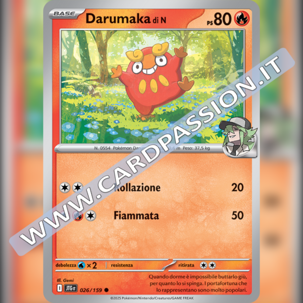 026/159 Darumaka | Avventure Insieme