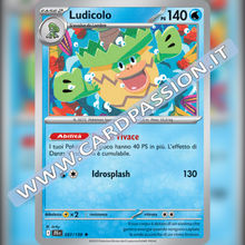 037/159 Ludicolo Holo | Avventure Insieme