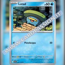 035/159 Lotad | Avventure Insieme