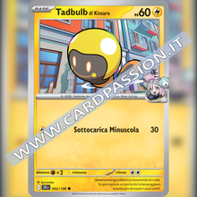 052/159 Tadbulb di Kissara | Avventure Insieme