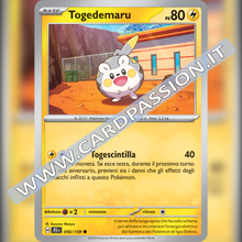 050/159 Togedemaru | Avventure Insieme
