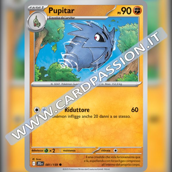 081/159 Pupitar | Avventure Insieme