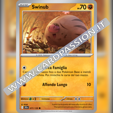 077/159 Swinub | Avventure Insieme