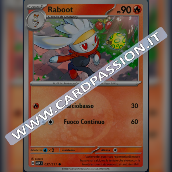 037/217 Raboot Reverse | Ascesa Eroica