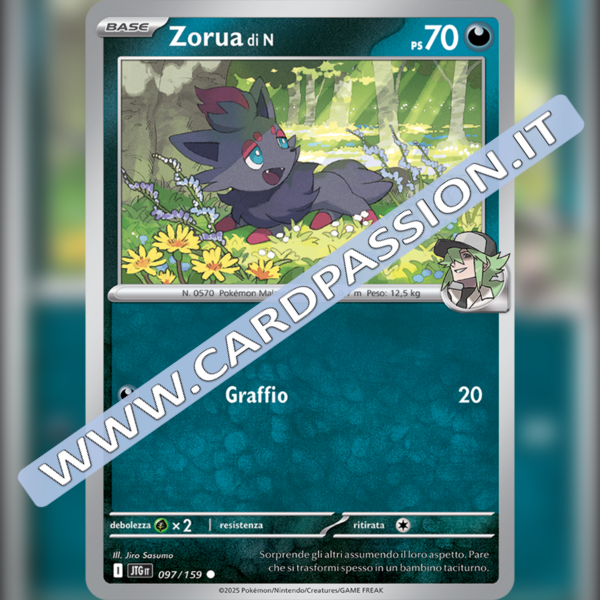 097/159 Zorua di N | Avventure Insieme