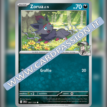097/159 Zorua di N | Avventure Insieme