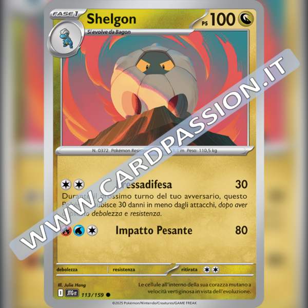 113/159 Shelgon | Avventure Insieme