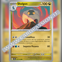 113/159 Shelgon | Avventure Insieme