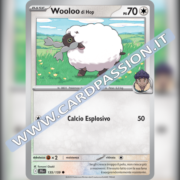 135/159 Wooloo di Hop | Avventure Insieme
