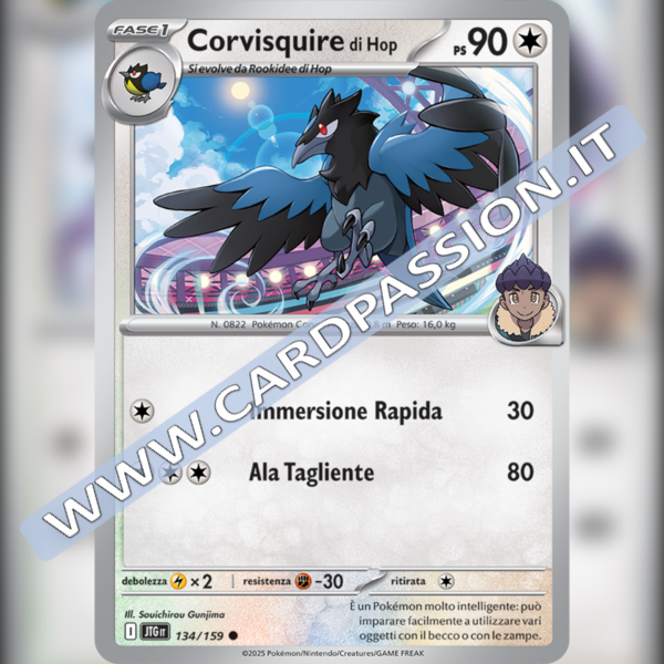 134/159 Corvisquire di Hop | Avventure Insieme