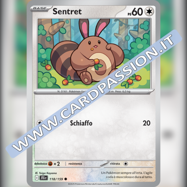 118/159 Sentret | Avventure Insieme