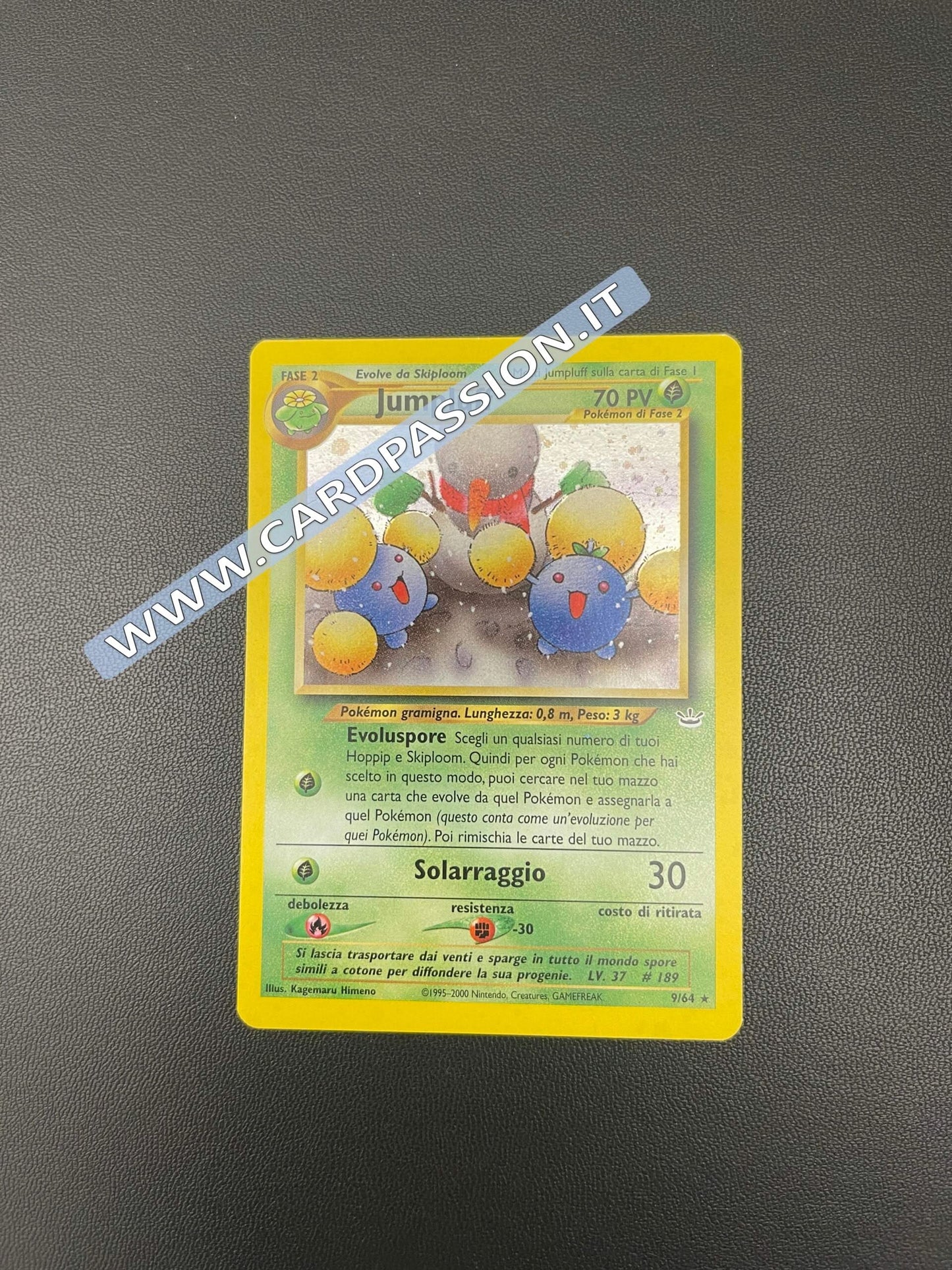 9/64 Jumpluff Holo Mint | Neo Revelation (IT)