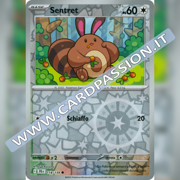 118/159 Sentret Reverse | Avventure Insieme