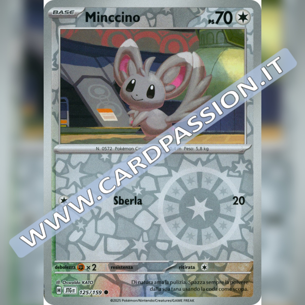 125/159 Minccino Reverse | Avventure Insieme