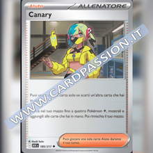 185/217 Canary Reverse | Ascesa Eroica