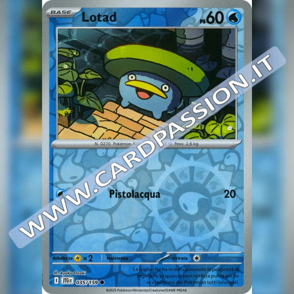 035/159 Lotad Reverse | Avventure Insieme
