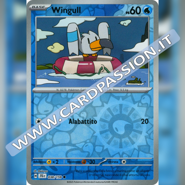 038/159 Wingull Reverse | Avventure Insieme