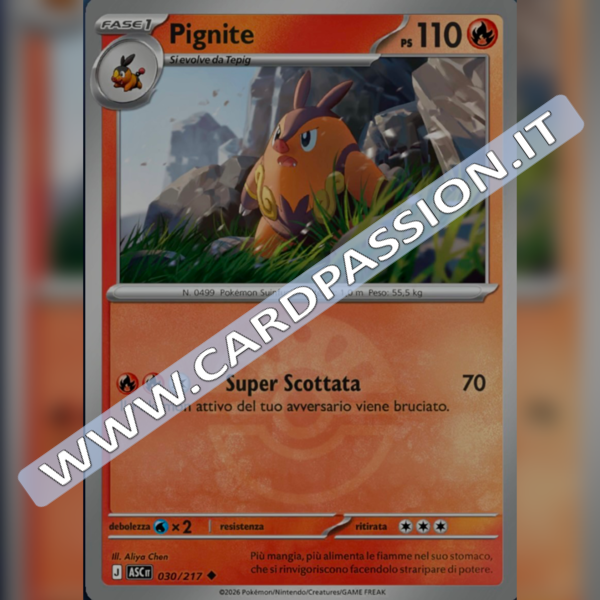030/217 Pignite Poke Ball Reverse | Ascesa Eroica