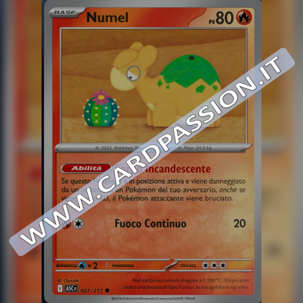 027/217 Numel Poke Ball Reverse | Ascesa Eroica