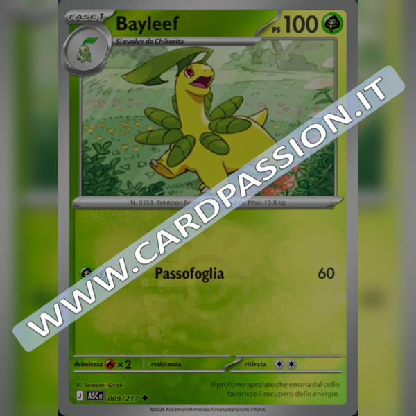 009/217 Bayleef Poke Ball Reverse | Ascesa Eroica