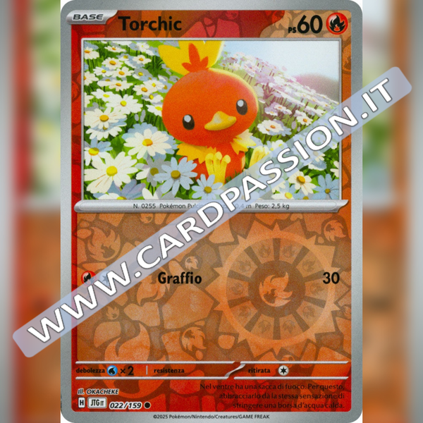 022/159 Torchic Reverse | Avventure Insieme