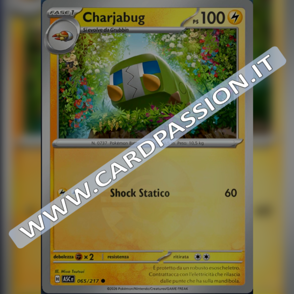 065/217 Charjabug Poke Ball Reverse | Ascesa Eroica