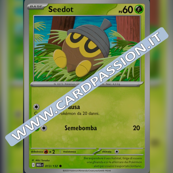 013/132 Seedot | Megaevoluzione