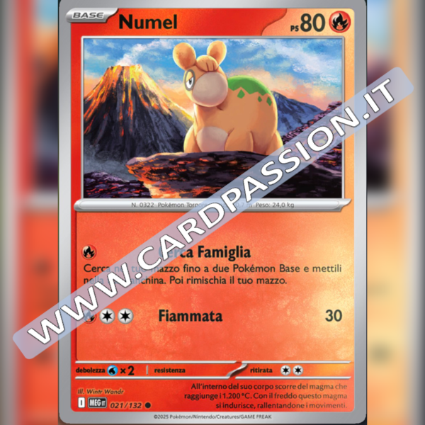 021/132 Numel | Megaevoluzione