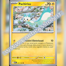 051/132 Pachirisu | Megaevoluzione
